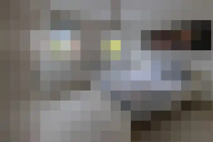 Vivaldilaan 3 Sliedrecht thumbnail 25