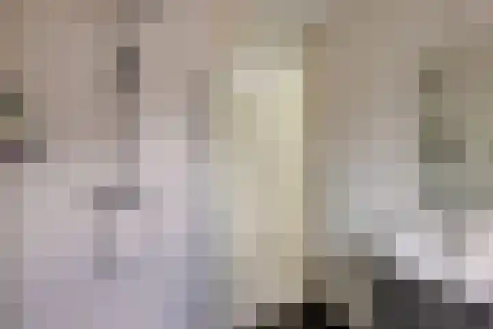 Vivaldilaan 3 Sliedrecht thumbnail 33