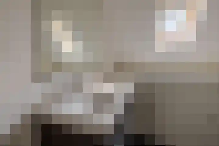 Vivaldilaan 3 Sliedrecht thumbnail 34