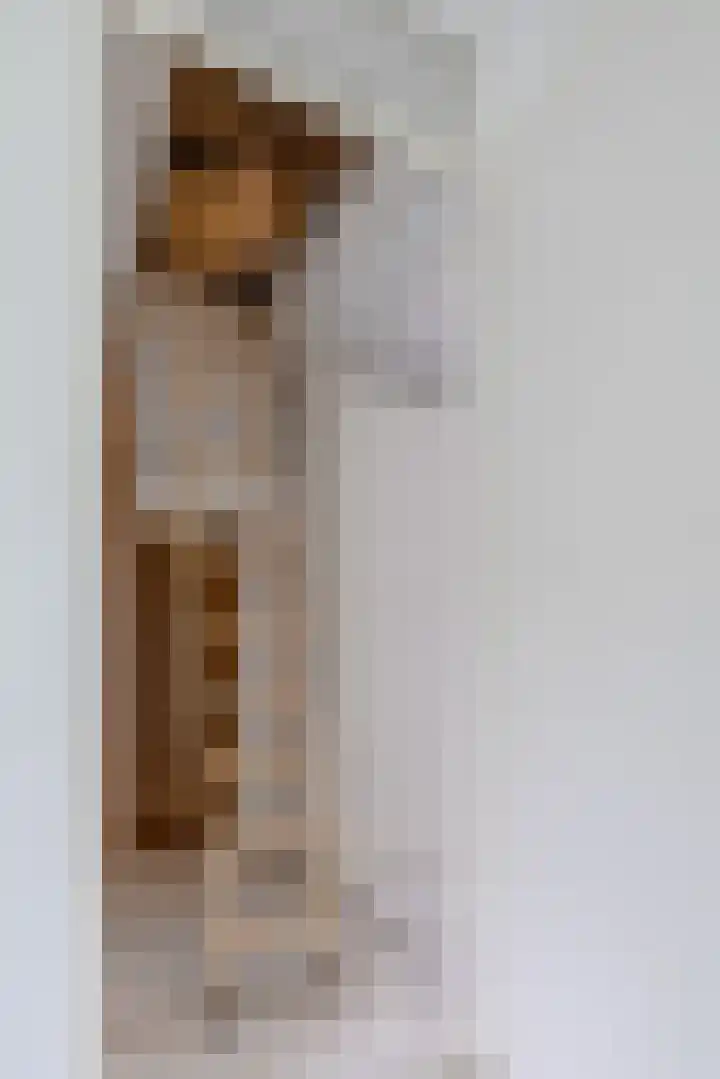 Vivaldilaan 3 Sliedrecht thumbnail 35