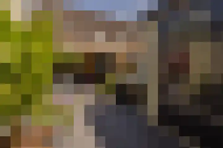 Vivaldilaan 3 Sliedrecht thumbnail 7