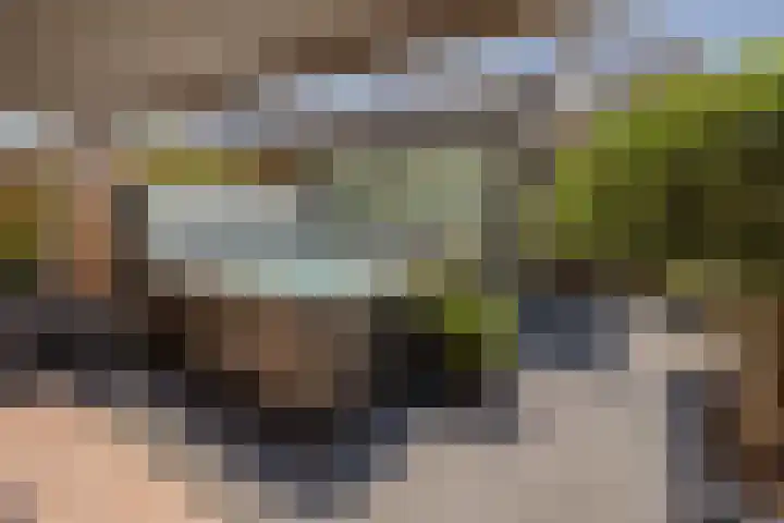 Vivaldilaan 3 Sliedrecht thumbnail 8