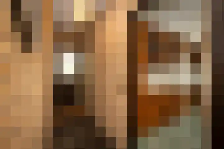 Vivaldilaan 5 Berkel-Enschot thumbnail 20