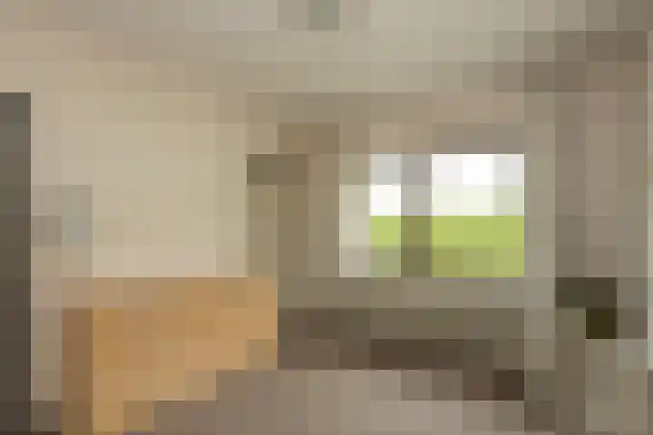 Vivaldilaan 5 Berkel-Enschot thumbnail 21