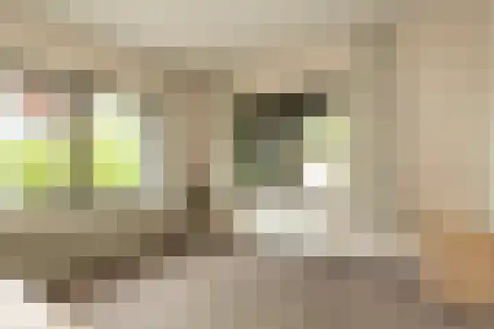 Vivaldilaan 5 Berkel-Enschot thumbnail 22