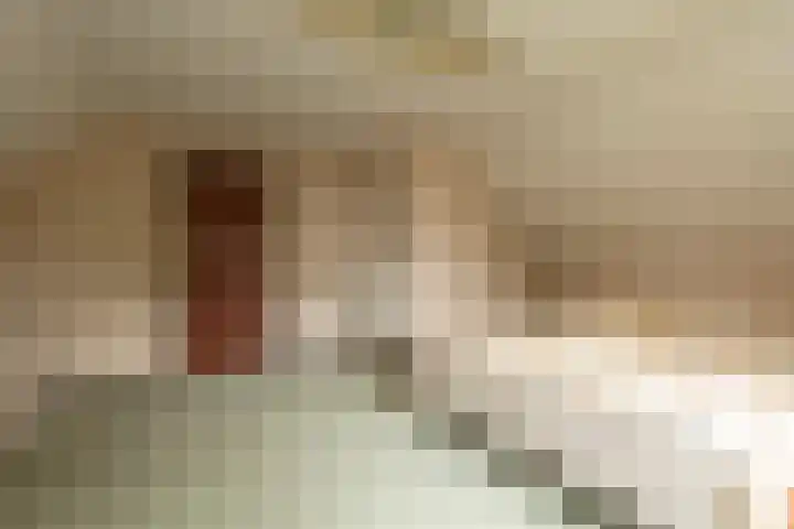 Vivaldilaan 5 Berkel-Enschot thumbnail 26