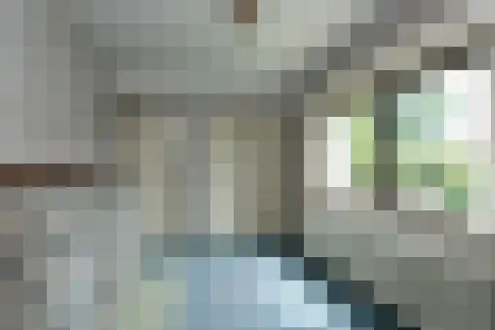 Vivaldilaan 5 Berkel-Enschot thumbnail 31