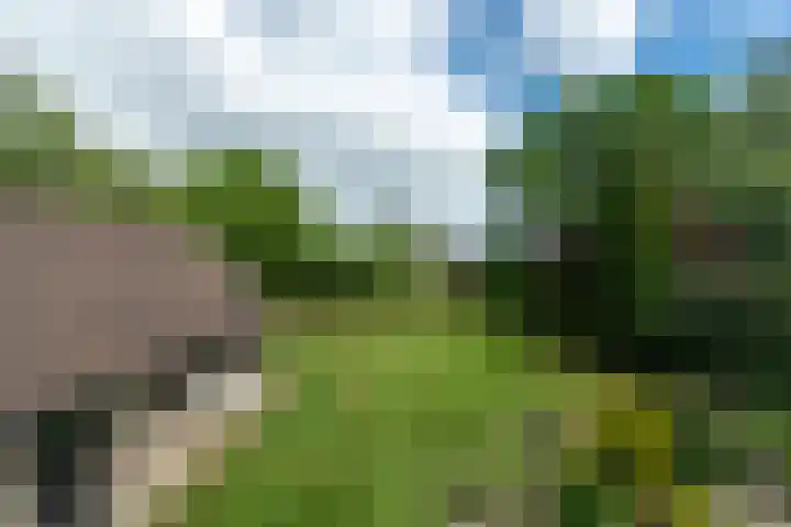 Vivaldilaan 5 Berkel-Enschot thumbnail 34
