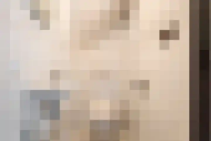Vivaldilaan 5 Berkel-Enschot thumbnail 39