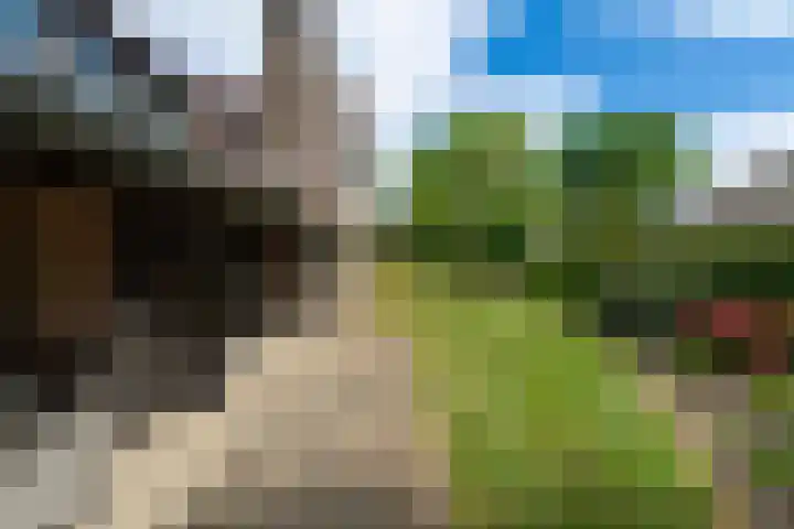 Vivaldilaan 5 Berkel-Enschot thumbnail 40