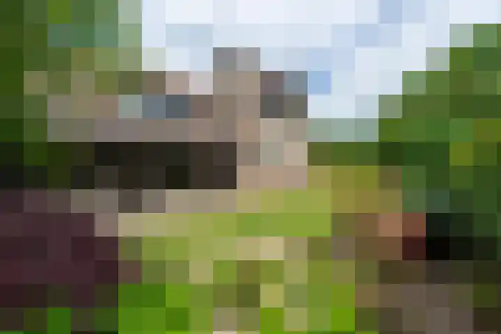 Vivaldilaan 5 Berkel-Enschot thumbnail 41
