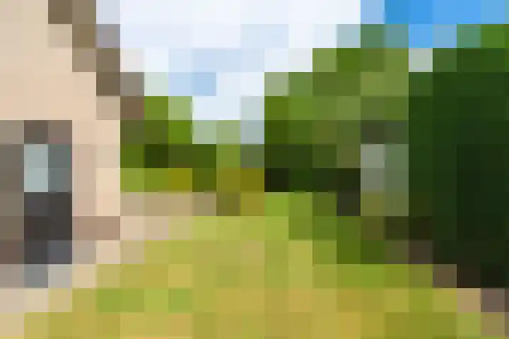 Vivaldilaan 5 Berkel-Enschot thumbnail 42