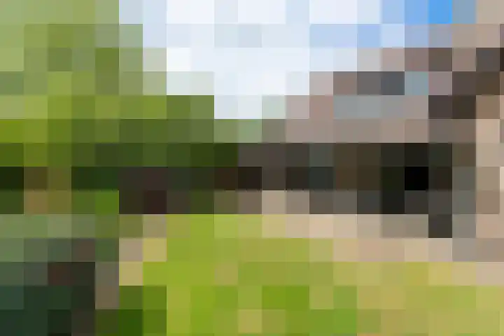Vivaldilaan 5 Berkel-Enschot thumbnail 43