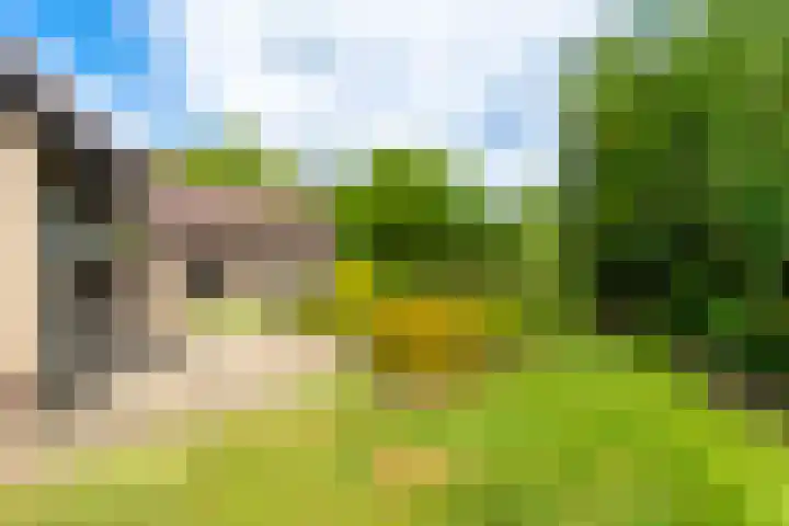 Vivaldilaan 5 Berkel-Enschot thumbnail 44