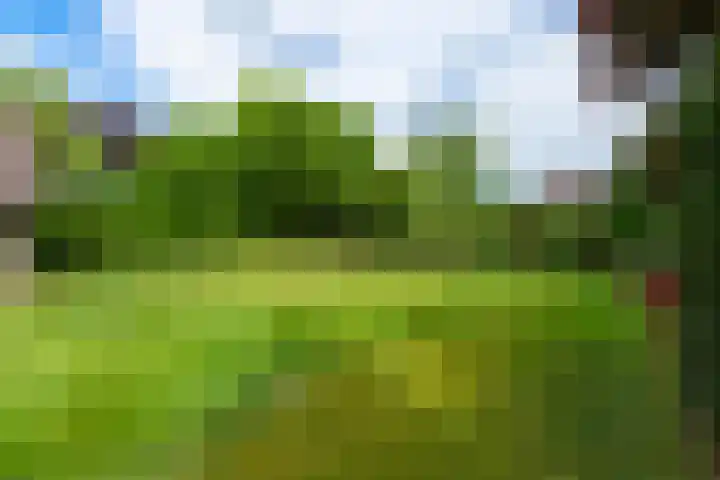 Vivaldilaan 5 Berkel-Enschot thumbnail 48