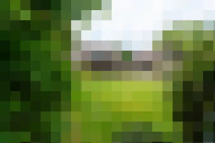 Vivaldilaan 5 Berkel-Enschot thumbnail 49