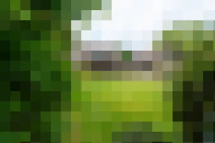 Vivaldilaan 5 Berkel-Enschot thumbnail 5