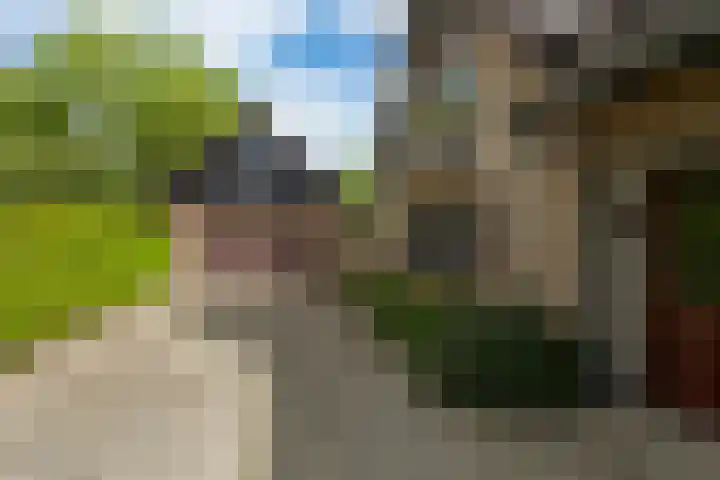 Vivaldilaan 5 Berkel-Enschot thumbnail 54