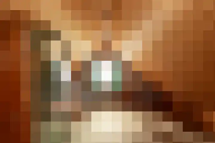 Vivaldilaan 5 Berkel-Enschot thumbnail 56
