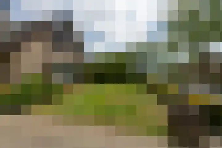 Vivaldilaan 5 Berkel-Enschot thumbnail 57