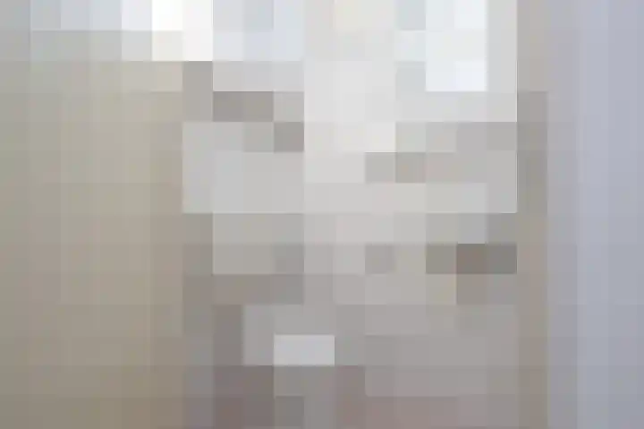 Vivaldilaan 6 Dirksland thumbnail 7
