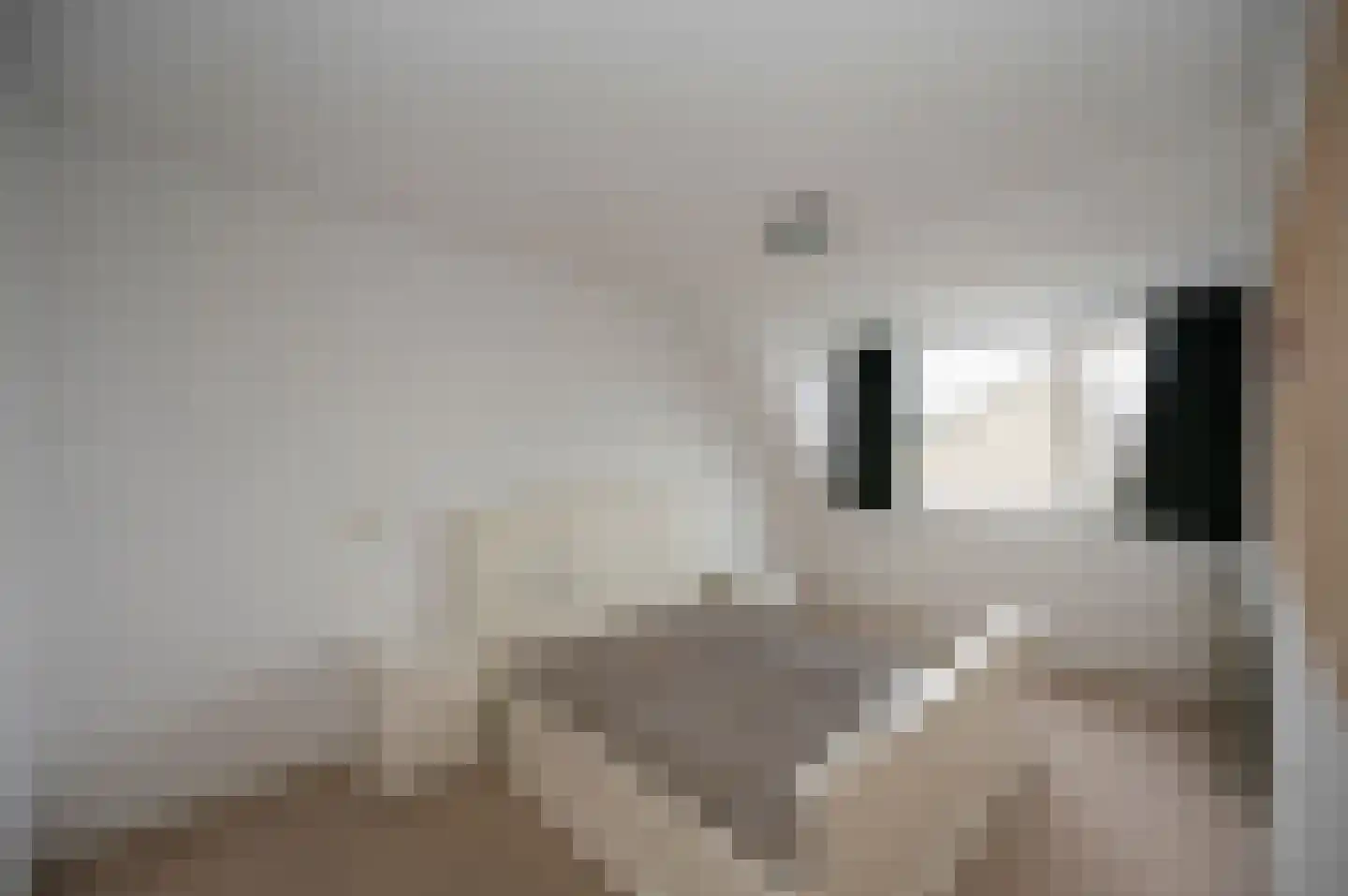 Vivaldipad 15 Almere thumbnail 18