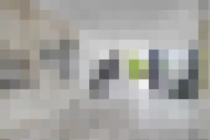 Vivaldipad 28 Almere thumbnail 12
