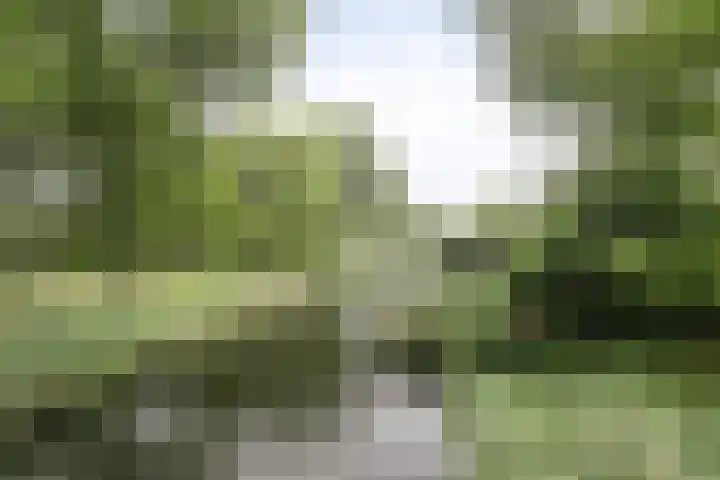 Vivaldipad 28 Almere thumbnail 28