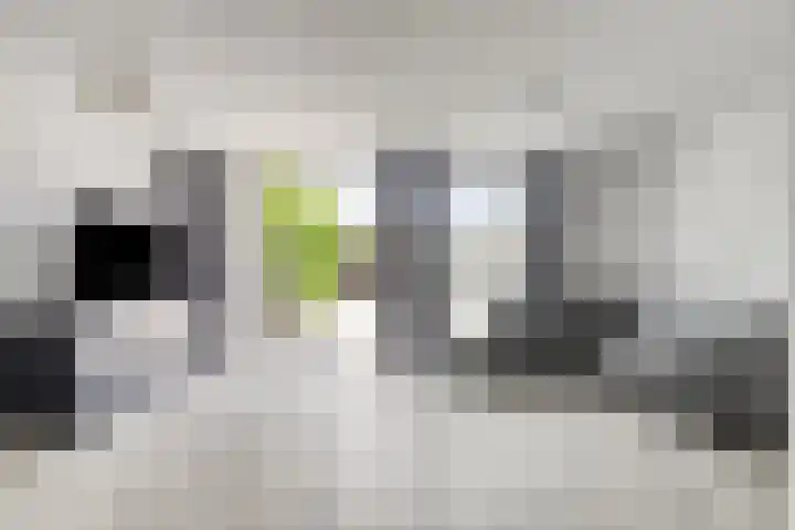 Vivaldipad 28 Almere thumbnail 7