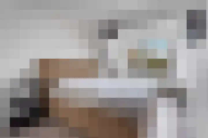 Vivaldipad 52 Almere thumbnail 19