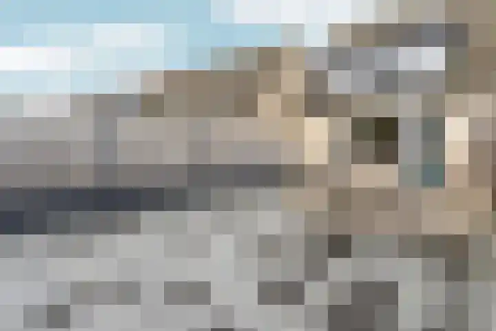 Vivaldipad 52 Almere thumbnail 32
