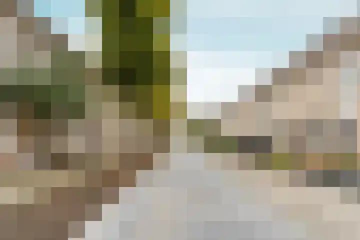 Vivaldipad 52 Almere thumbnail 34