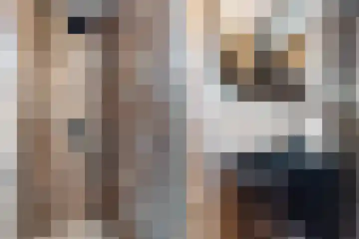 Vivaldipad 52 Almere thumbnail 4