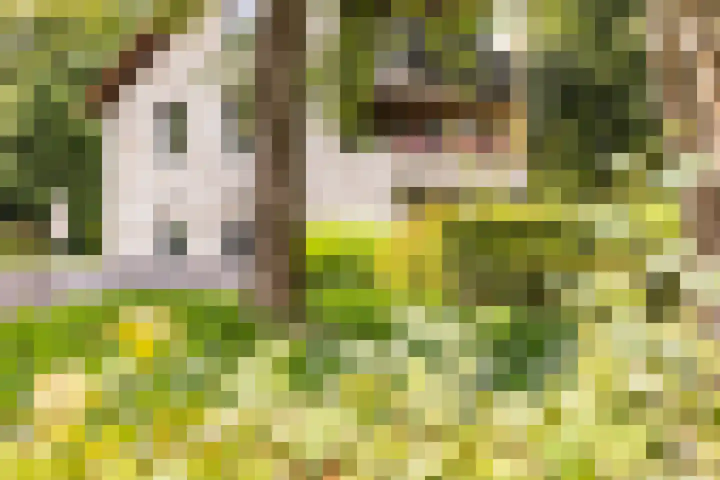 Vivaldipark 36 Hilversum thumbnail 27