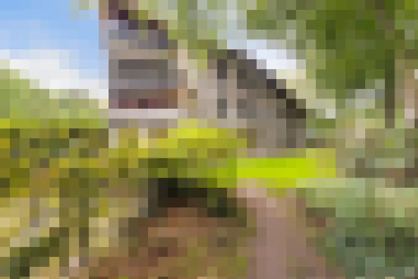 Vivaldipark 36 Hilversum thumbnail 29