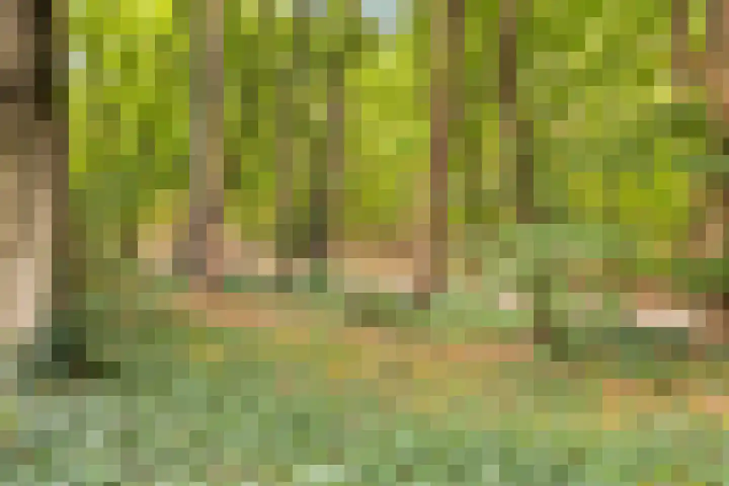 Vivaldipark 36 Hilversum thumbnail 33