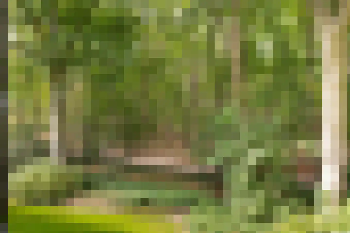 Vivaldipark 36 Hilversum thumbnail 34