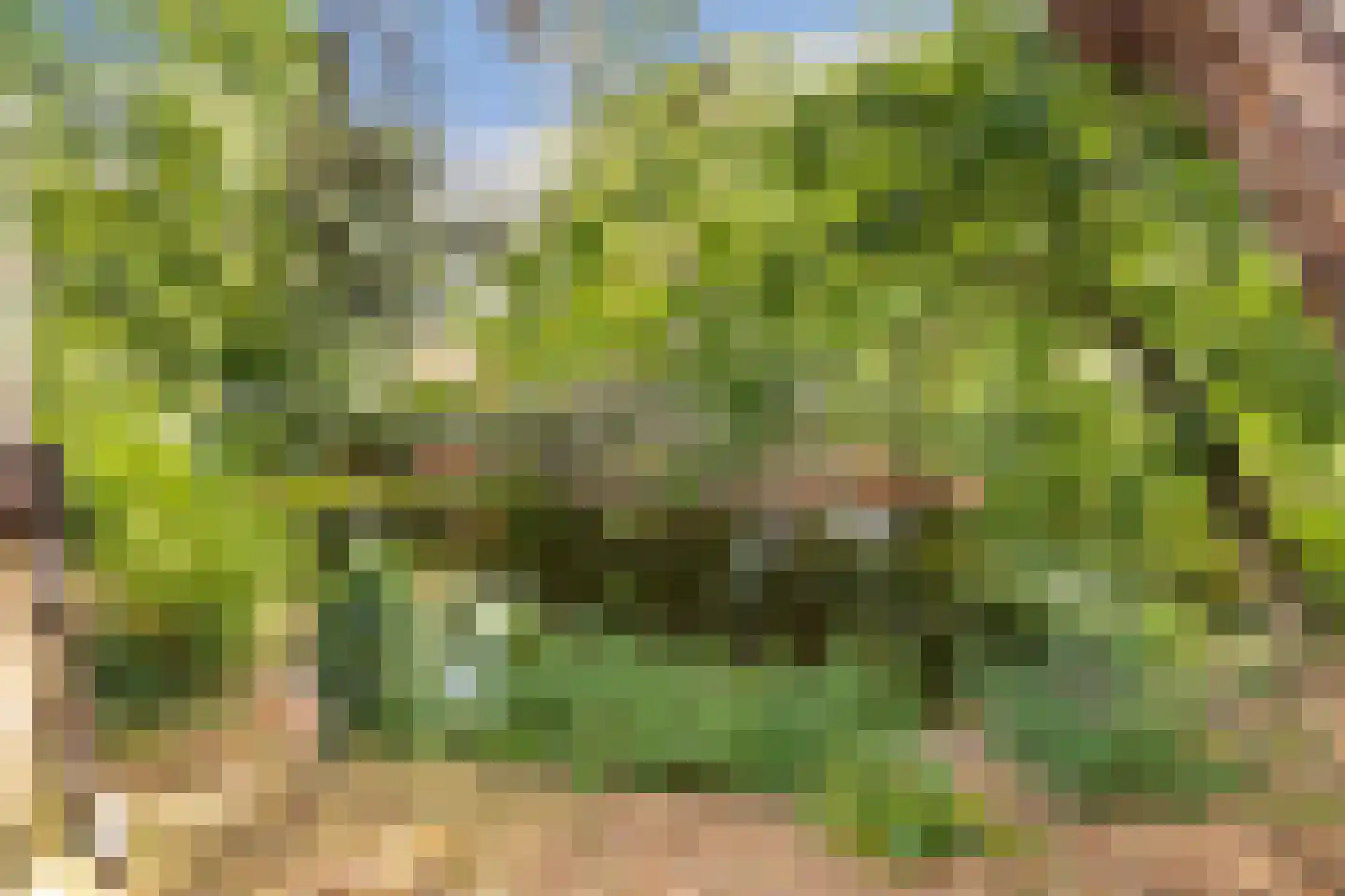 Vivaldipark 36 Hilversum thumbnail 35