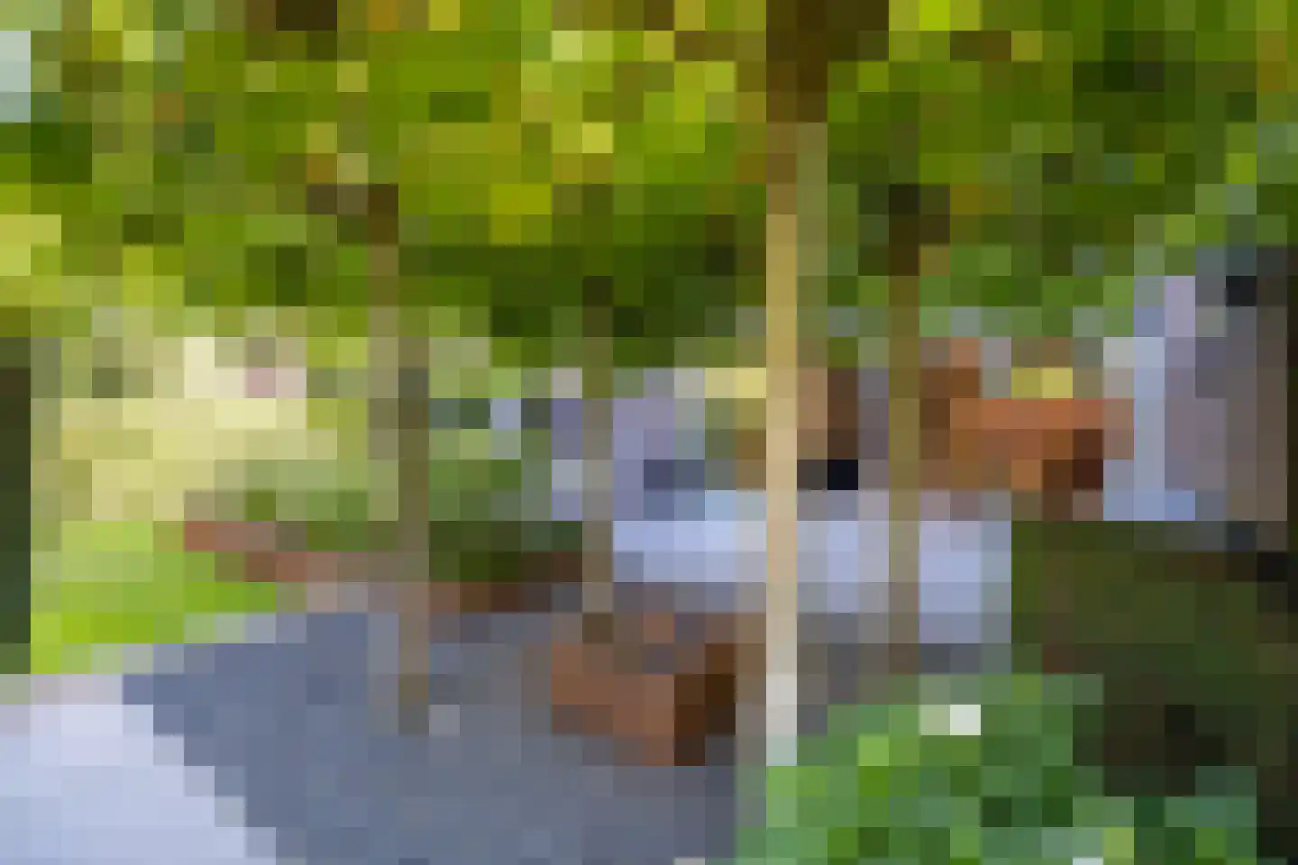 Vivaldipark 5 Hilversum thumbnail 43