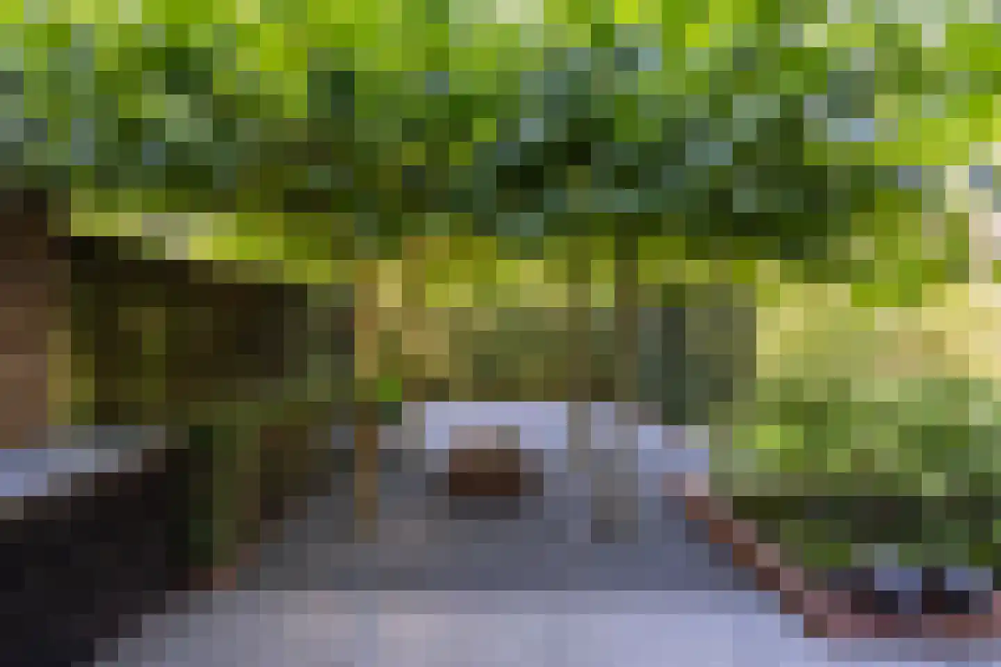 Vivaldipark 5 Hilversum thumbnail 44