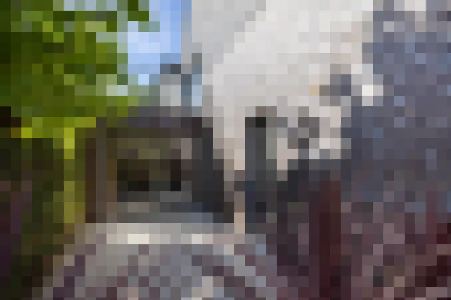 Vivaldipark 5 Hilversum thumbnail 50