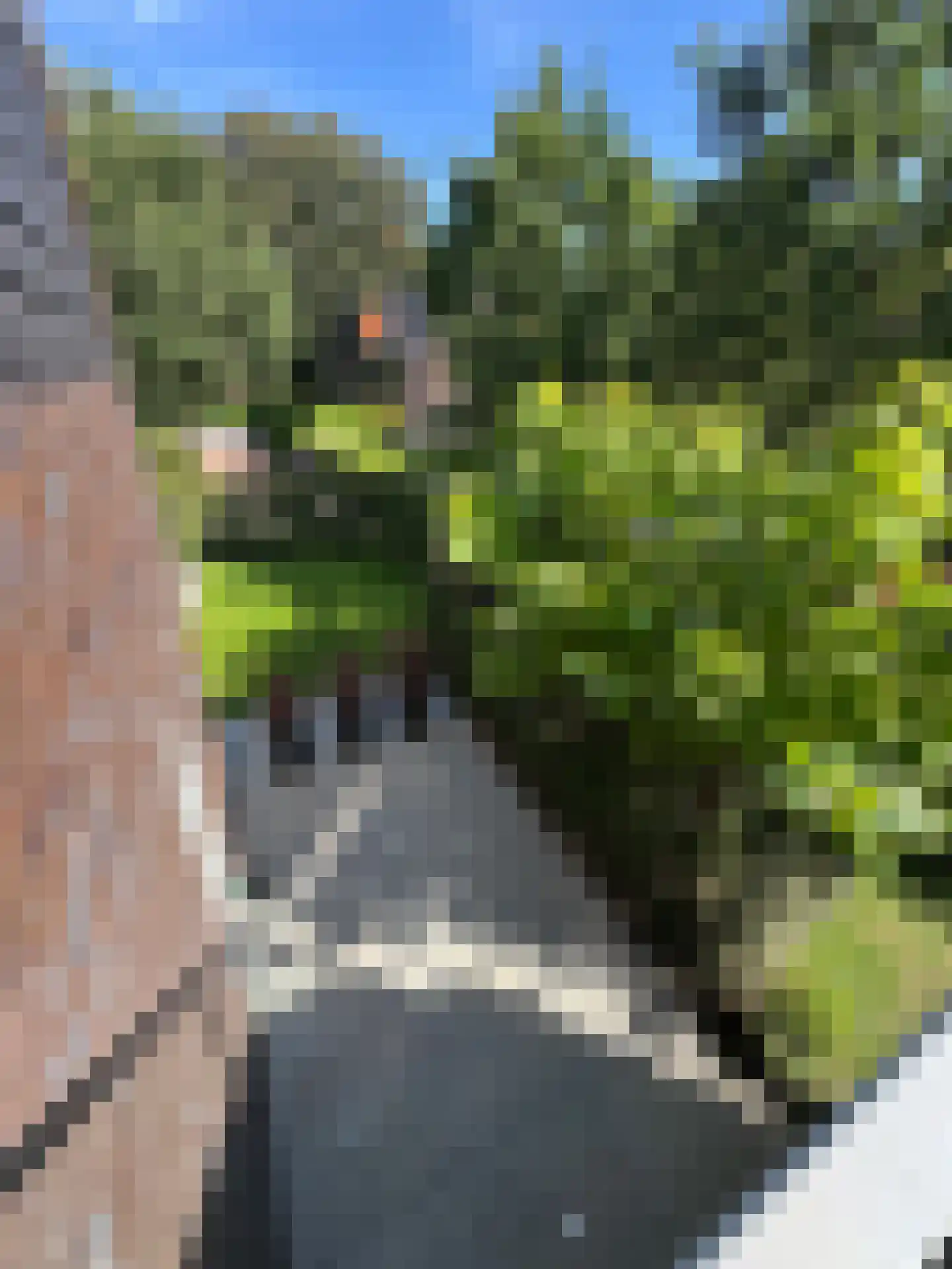 Vivaldipark 5 Hilversum thumbnail 55