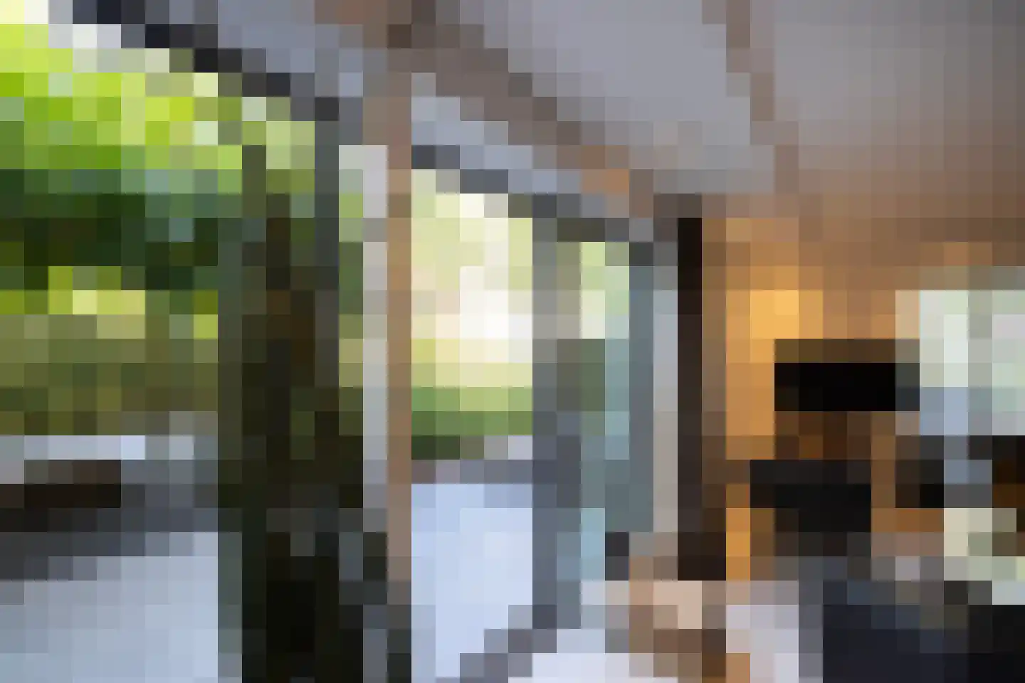 Vivaldipark 5 Hilversum thumbnail 9