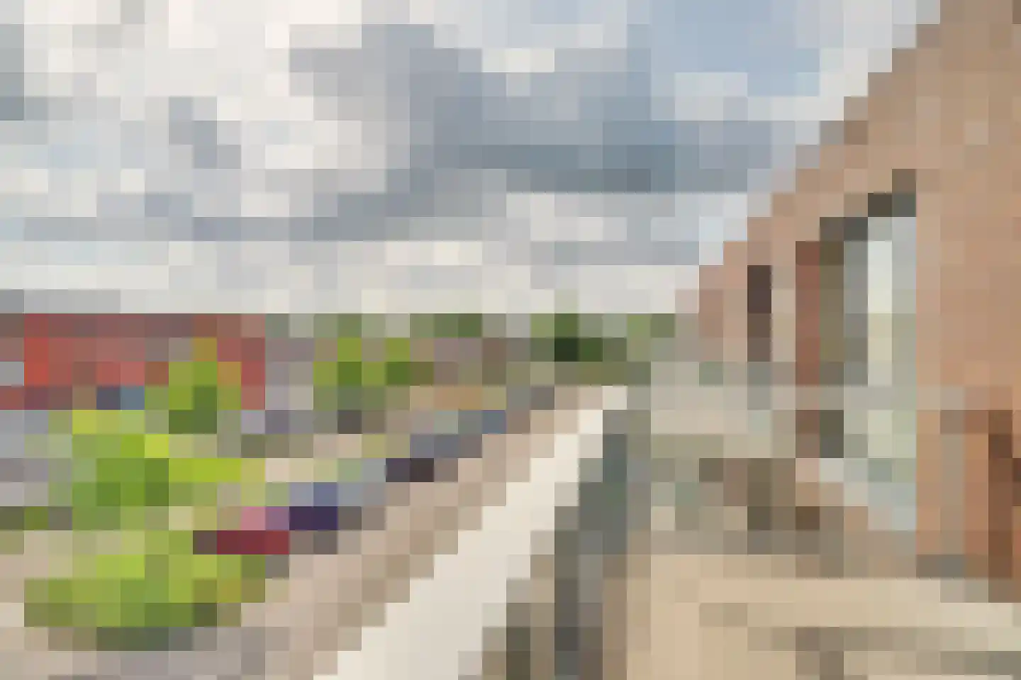 Vivaldiplein 17 Terneuzen thumbnail 29