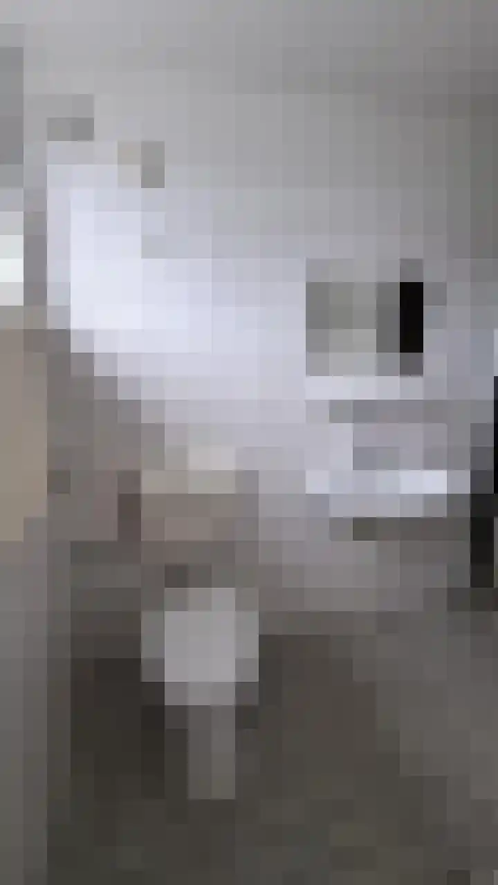 Vivaldiplein 2 Spijkenisse thumbnail 6