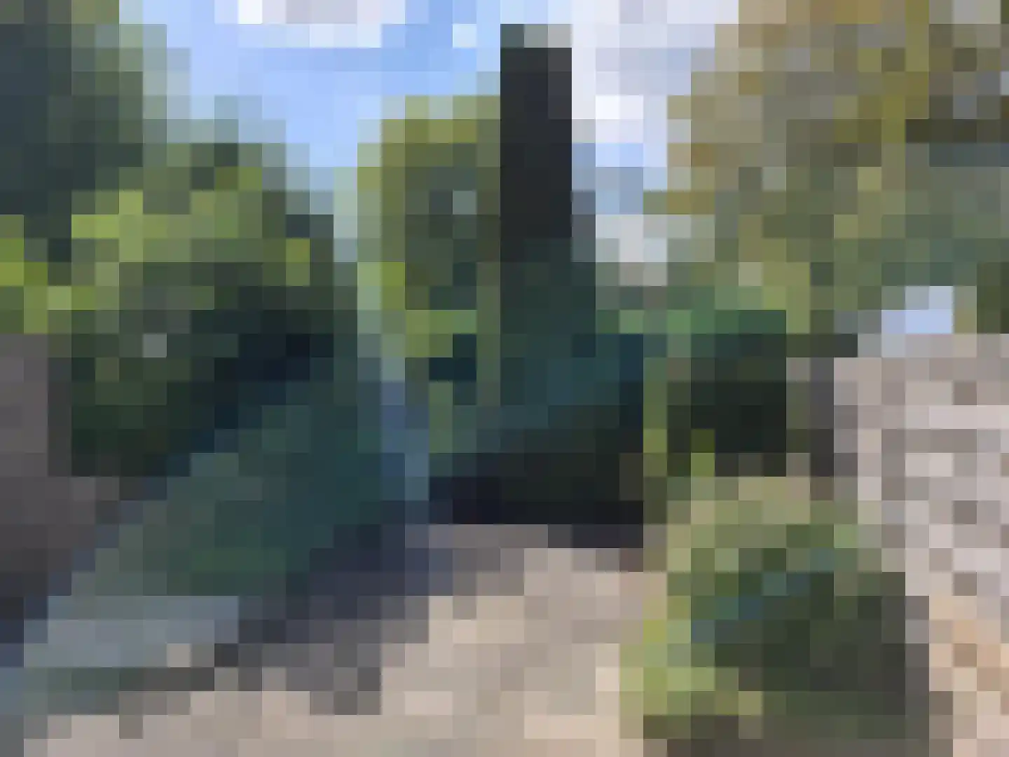 Vivaldiplein 6 Spijkenisse thumbnail 13