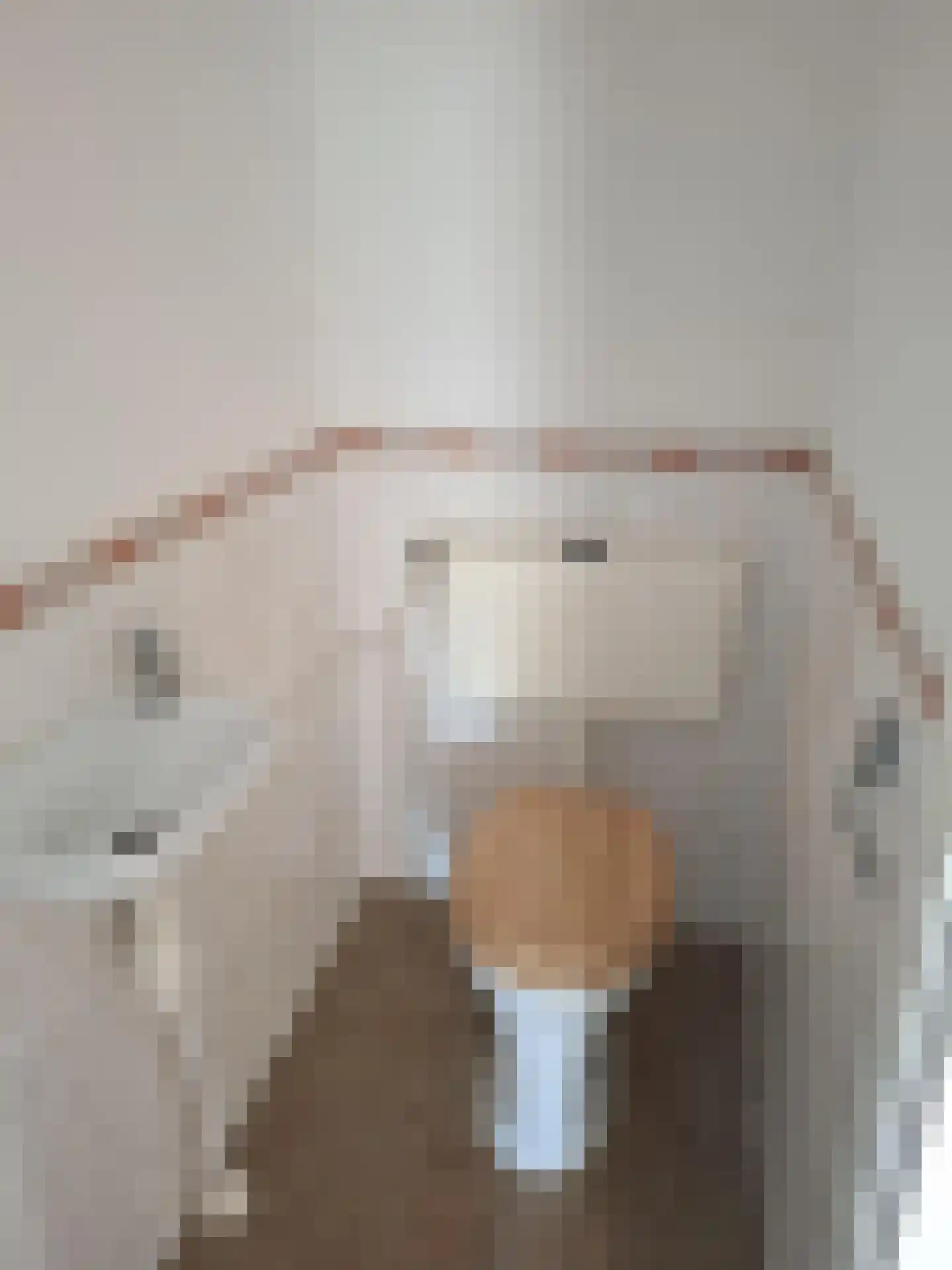 Vivaldiplein 6 Spijkenisse thumbnail 7