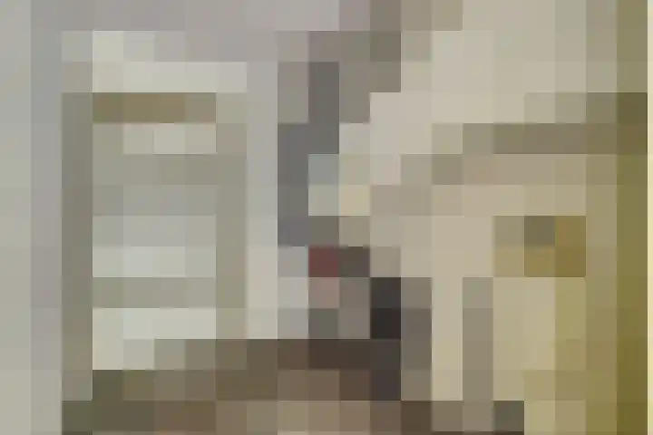 Vivaldiplein 60 Terneuzen thumbnail 24