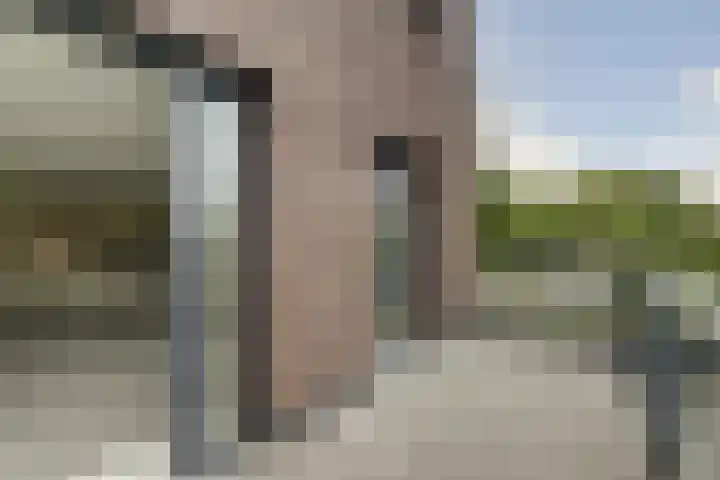 Vivaldiplein 60 Terneuzen thumbnail 26