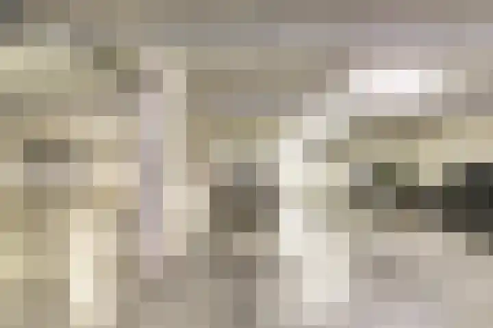 Vivaldiplein 60 Terneuzen thumbnail 27